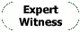 Expert Witness Services